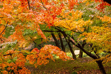 小雨の降る秋の公園！