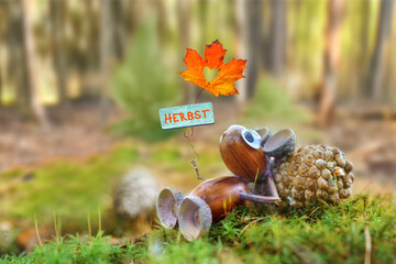 Freude im Herbst