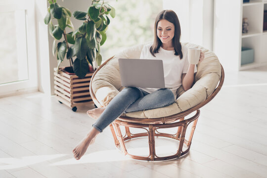 Full length photo of positive girl sit wicker chair watch video on laptop hold coffee cup in house indoors