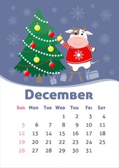 Vector December 2021 calendar. Symbol of new year, cute bull or cow. A4 format for print. Week starts from Sunday