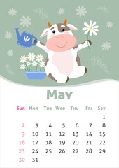 Vector May 2021 calendar. Symbol of new year, cute bull or cow, gardening. A4 format for print. Week starts from Sunday