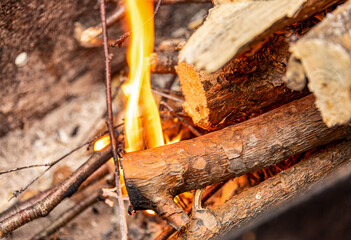 Thin twigs of a tree flaring up.