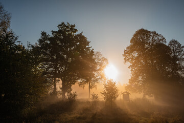Fototapeta na wymiar sunrise in the forest