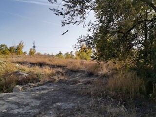 Autumn forest, Saratov region, Russia
