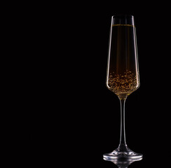one glass of champagne on a black background