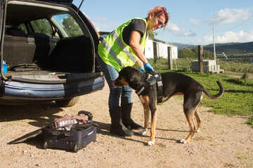 k9 drug police dog together with policeman suitcase ready for drug search
