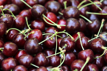  Fresh ripe cherries. Food background.