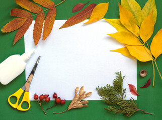 Colorful autumn yellow leaves, scissors, glue and paper on a green background, top view, copy space