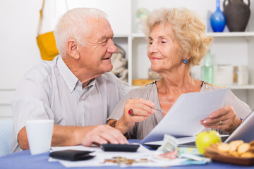 Fototapeta na wymiar Smiling senior couple sitting at table counting home finances with laptop