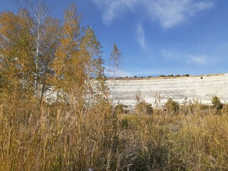 
forest in Volskiy Cretaceous quarry, Saratov region, Russia