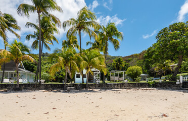 Beach with palm trees on Bequia Island, Saint Vincent and the Grenadines.