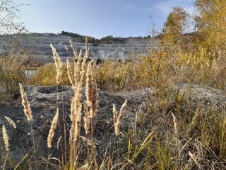 
lake in the forest in the Volskiy Cretaceous quarry, Saratov region, Russia