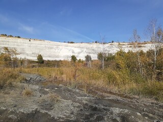 
forest in Volskiy Cretaceous quarry, Saratov region, Russia