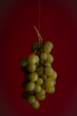Portrait of grapes on red background