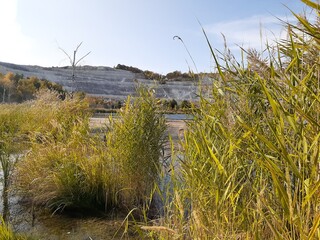 
lake in the forest in the Volskiy Cretaceous quarry, Saratov region, Russia