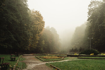  fog in a city park in autumn