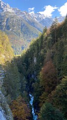 Ravine with mountain, forest, river - 386351182