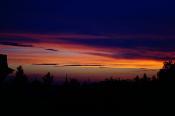 sunset in the forest