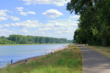 Fototapeta na wymiar July 09 2020 - Germersheim/Germany: people swimming in rhine river and are relaxing