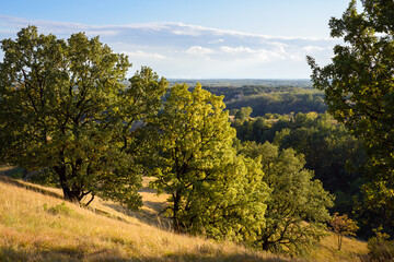 Green valley nature landscape.
