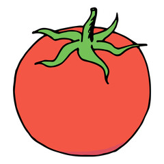 Tomato on white background. Vector image.
