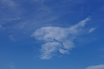 青空と白い雲