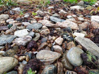 stones on the beach