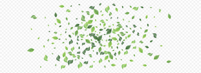 Mint Greenery Abstract Vector Panoramic 