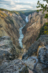 lower falls of the yellowstone national park from artist point at sunset, wyoming, usa