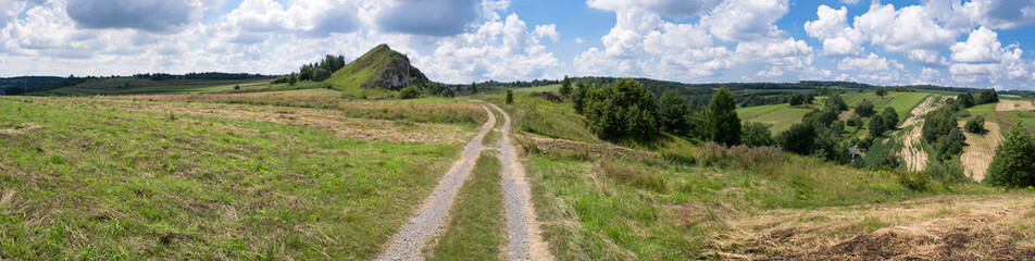 Fototapeta na wymiar Jura Krakowsko-Częstochowska. Park krajobrazowy Dolinki Krakowskie. Panorama. 