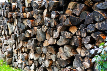 stack of firewood