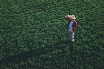 Fototapeta na wymiar Wheat farmer using drone remote controller in wheatgrass field, aerial