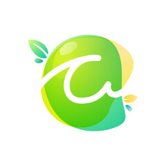 Vector green eco letter C logo.