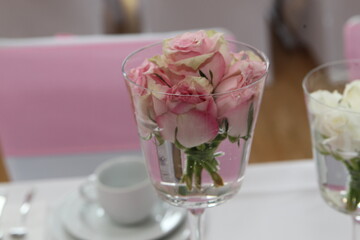 pink roses in a glass