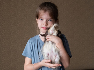 Little girl holding a guinea pig in her arms, love of children and animals, pet concept