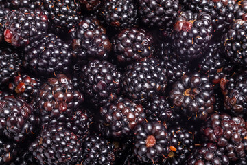 lots of fresh sweet blackberries on a flat surface top view