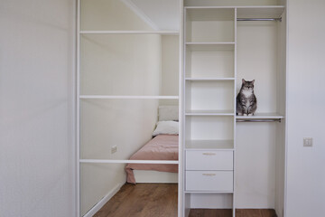 Pet in the white empty closet, cat on shelf in the wardrobe