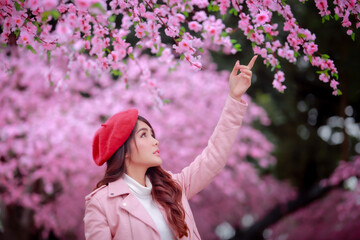 A traveler hipster woman sightseeing wear a red hat and a smooth leather dress with beautiful sakura cherry blossoms tree full blooming in pink color in the park on a spring day.