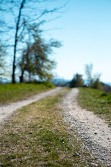 Selective focus on soil and grass located on a dirt road. The road is rural and leads to the village.