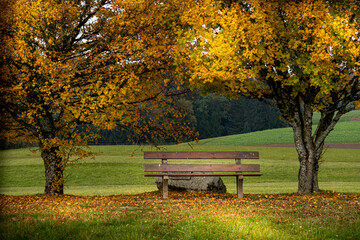 Idyllischer Rastplatz im Wald