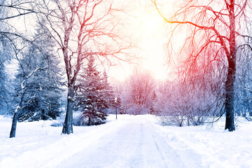 Christmas winter blurred background with garland lights, holiday festive background.