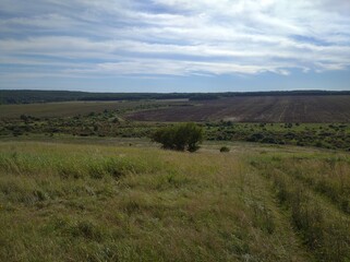 Obraz premium landscape with a grass