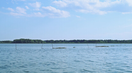 Redes de pesca caladas en una laguna del delta del Danubio. Reserva de la Biosfera Transfronteriza del delta del Danubio en Rumanía.