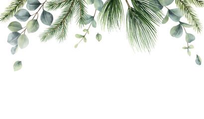 Watercolor vector Christmas card with fir branches and eucalyptus leaves. © ElenaMedvedeva
