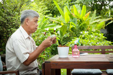 Asian elderly men take care of the trees, use shears to prune them beautifully. Sit on the front balcony of the house. Concept of happy retirement life. Copy space