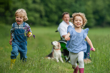 Small children with senior grandfather in wheelchair and dog on a walk on meadow in nature.