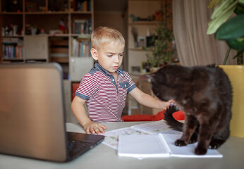 Distant education, true online education. Schoolchild studying with cat during lesson at home