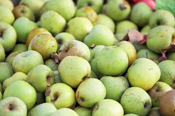 apples -close-up of fruit and vegetables for sale at the market