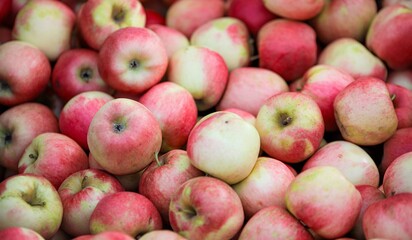 apples -close-up of fruit and vegetables for sale at the market