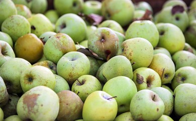 apples -close-up of fruit and vegetables for sale at the market